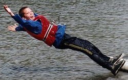 Windsurfer